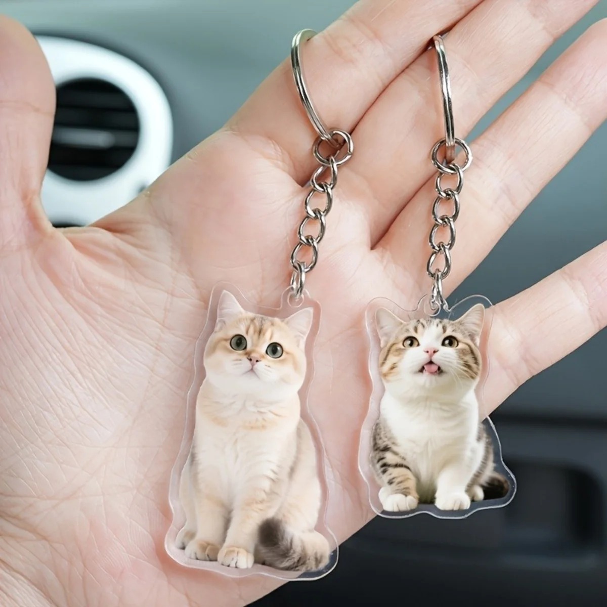 Custom Cutout Acrylic Keychain - Pet Portrait Custom recension och pris